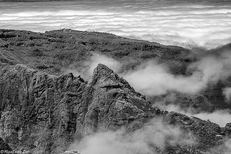 Adsel Adams omzetting naar ZW