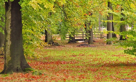 Doorkijkje