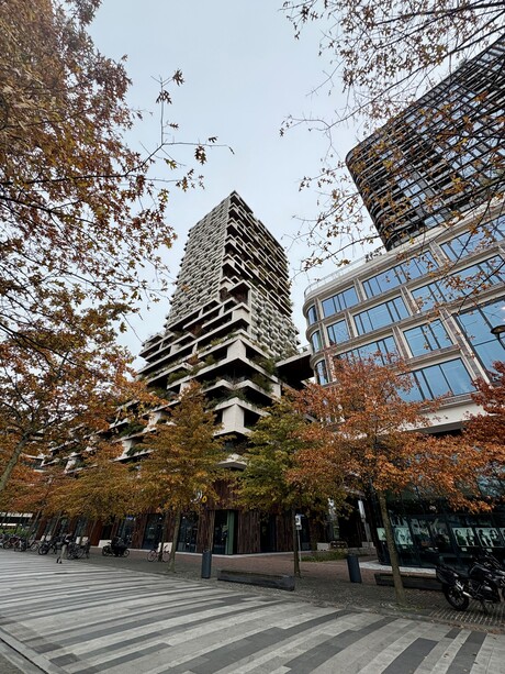 Wonderwoods Utrecht in herfstsferen