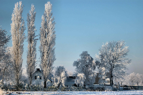 Winter op het land