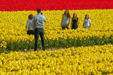 Naar de bollen 13