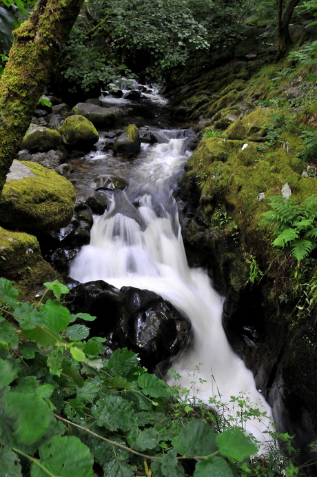 Aira Force Waterval, The Lake District, Cumbria, Engeland