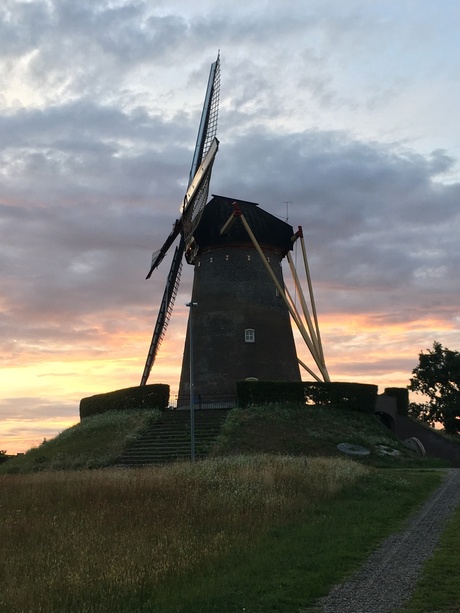 Molen