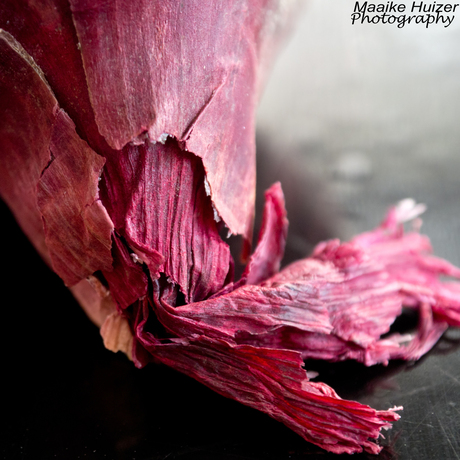 Red Onion Detail