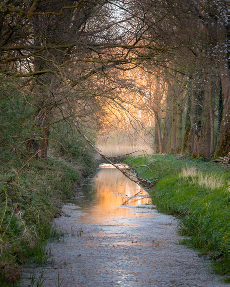 Beekje in de Beylshof 