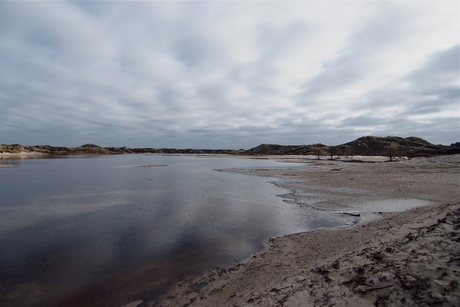 Drassig Terschelling