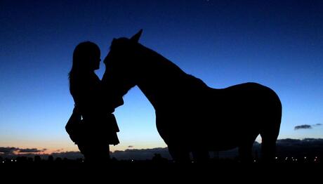 meisje met paard