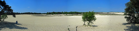 Duinen landschap 02