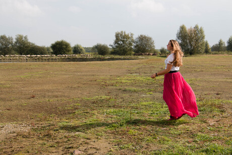 Contrast in de polder