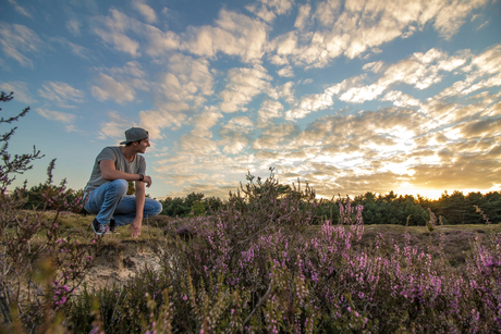 Zonsondergang in het driehoeksbos