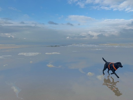 Alleen op het strand