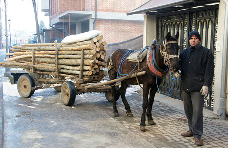 Hout transport