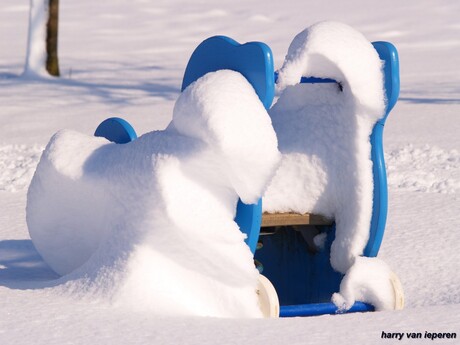 White en blue