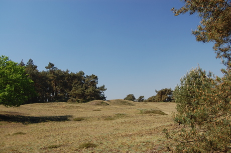 natuurgebied voor de herten.