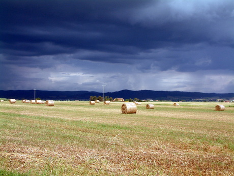 Toscane