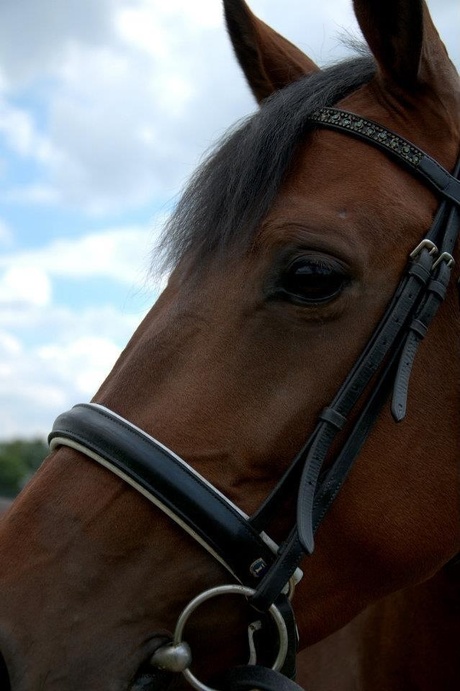 Beautiful eyes!