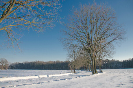winkelsbroek - winter-3