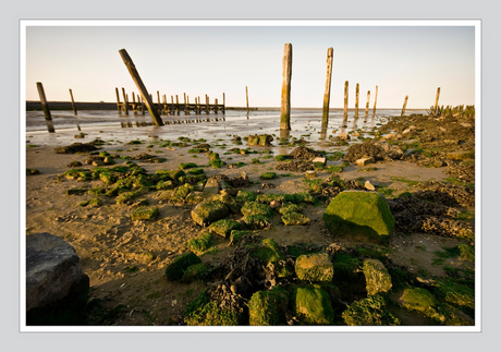 Texel - Uitzicht op Wad II