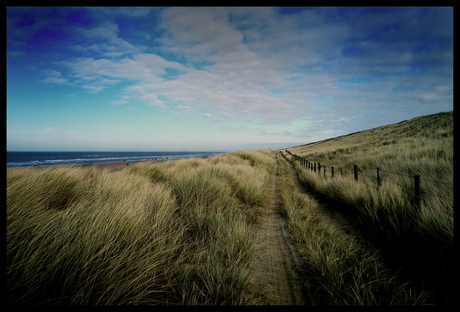 Behind the Dunes