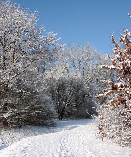 Snow in tilburg