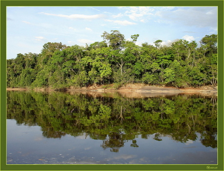 Rio caura