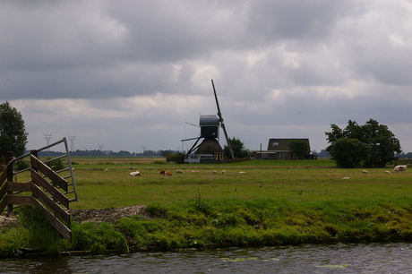 Oer Hollands