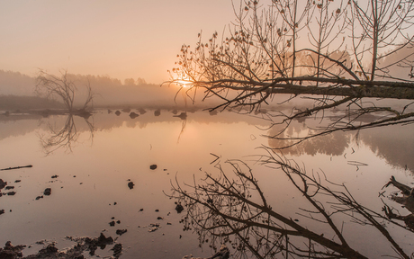 Broekpolder, vroeg en koud maar mooi!_1