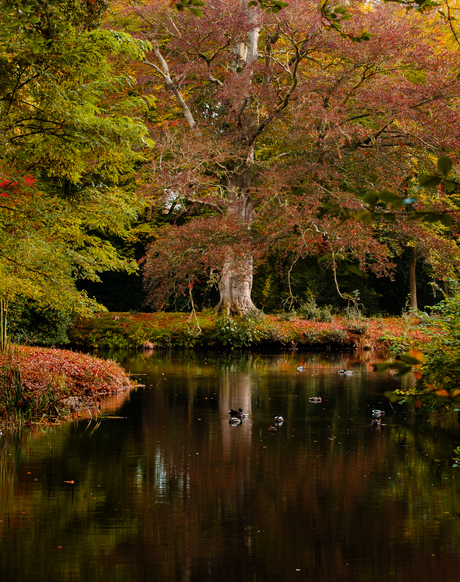 Begin van de herfst 2025