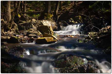 De kracht van de natuur