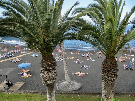 Zonnen op het strand