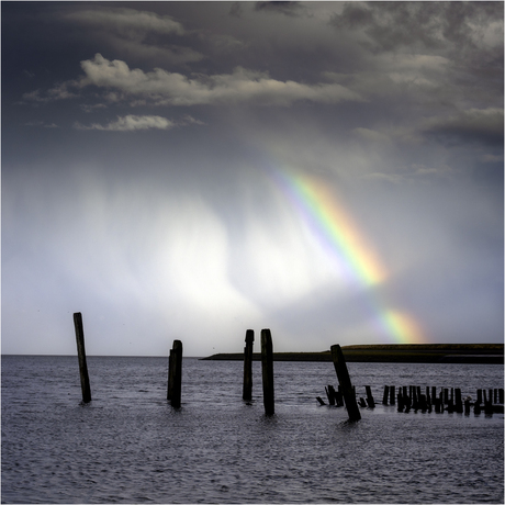 Haventje van Sil [503]