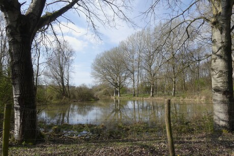 P1300407   Den Haag zw  Uithofpark   Lente doorkijkje  op 17 mrt 2026  