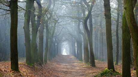 Licht aan het eind van de tunnel