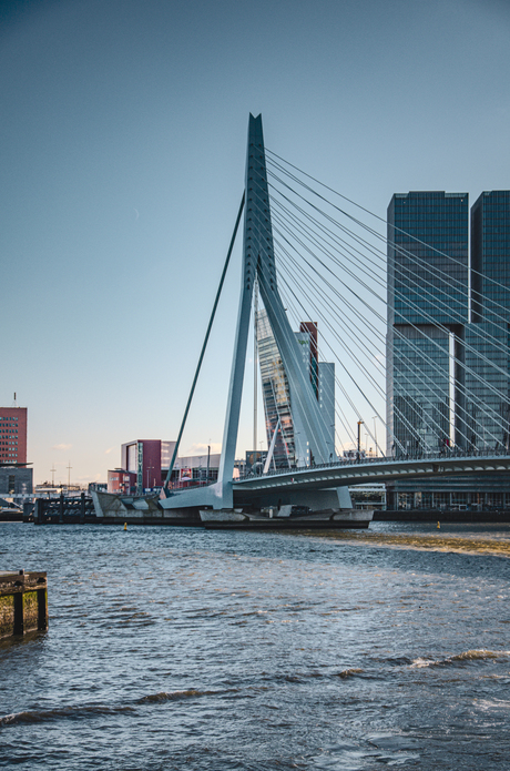 Erasmusbrug Rotterdam