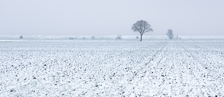 Koude winterdag in Johannes Kerkhovenpolder 