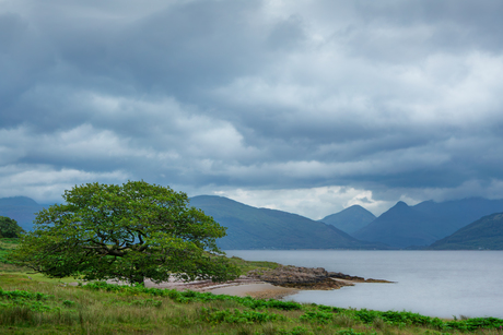 Aan de oevers van Loch Linnhe