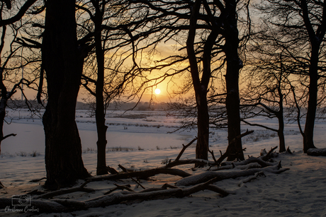 Waar de natuur fluistert in winterlicht.