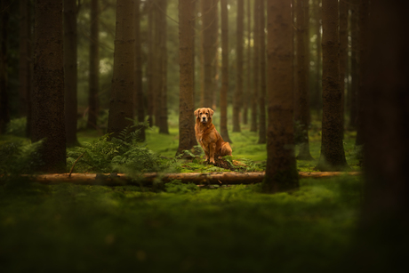 Natural habitat