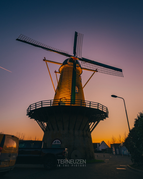 De molen van Hoek