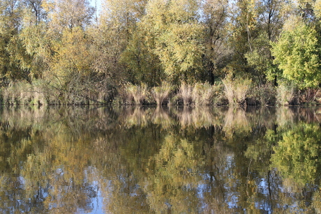 Spiegel van de herfst