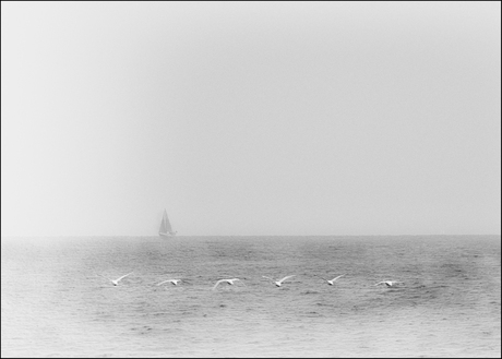 sailing / flying home