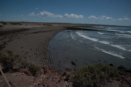 peninsula Valdes Coast