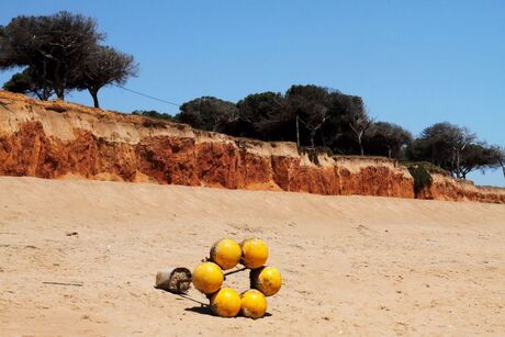 BOEI OP STRAND