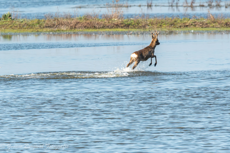 Dan ga ik er maar vandoor 