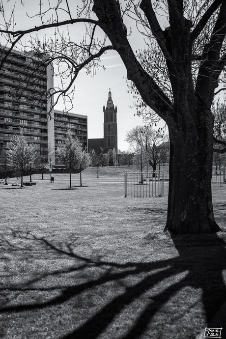 Kathedraal van Roermond