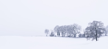 Winterlandschap 