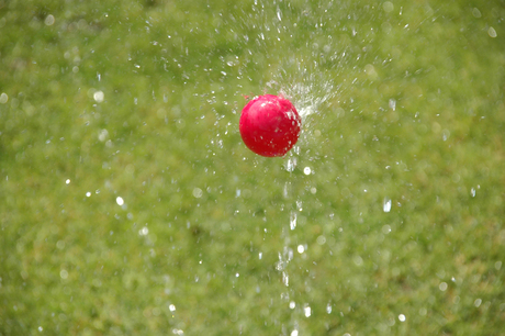 Balletje in het water deel 2