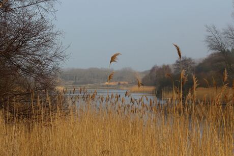 Waterleidingduinen/ Panneland