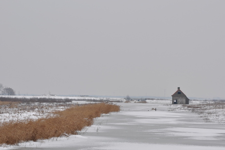 tiengemeten