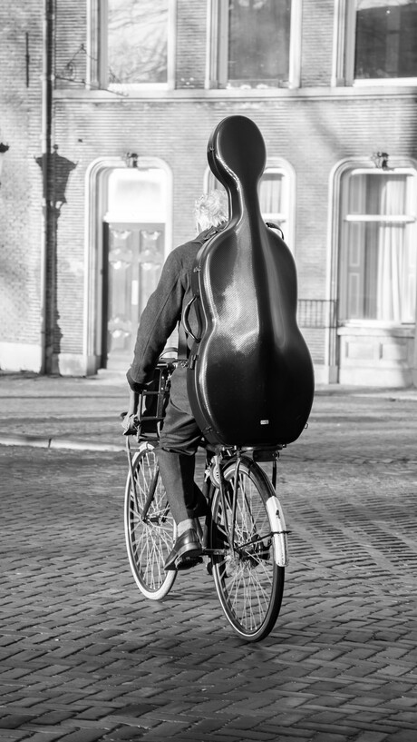 De muziek beweegt altijd!